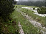 Javorje - Planina Poljana